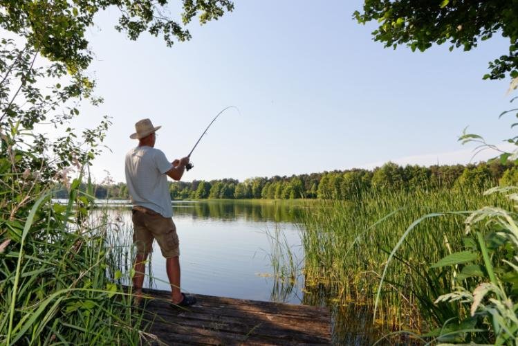 Långasjönäs Camping & Holiday Village