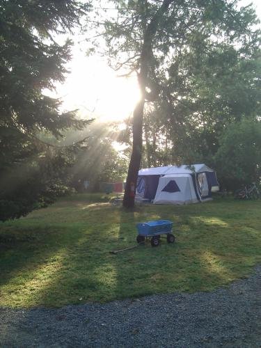 Le Petit Mas d'ile - camping & gîtes