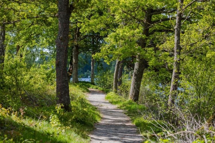 Långasjönäs Camping & Holiday Village