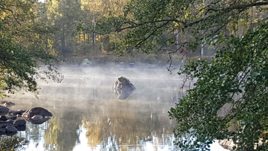 Långasjönäs Camping & Holiday Village
